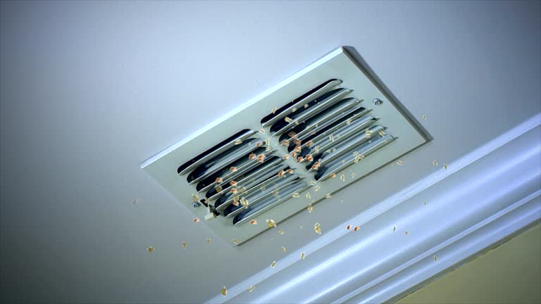 Ventilation Cleaning Services in MI