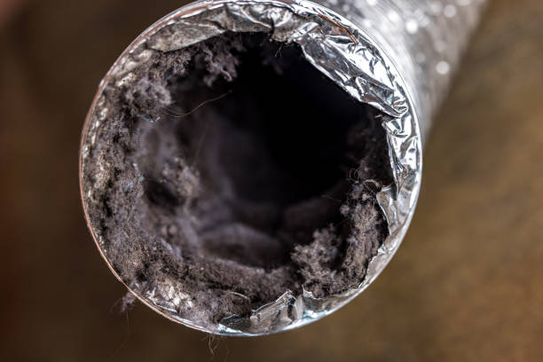 Best Air Duct Cleaning Near Me  in Hamtramck, MI