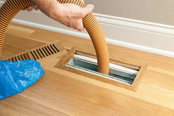 Best Affordable Air Duct Cleaning  in Hamtramck, MI