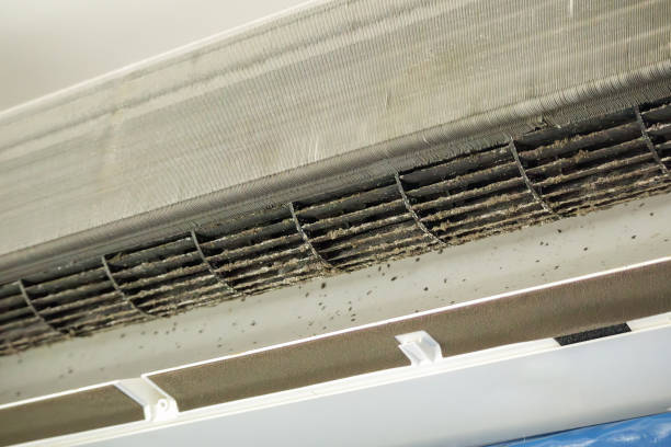 Affordable HVAC Duct Cleaning in MI